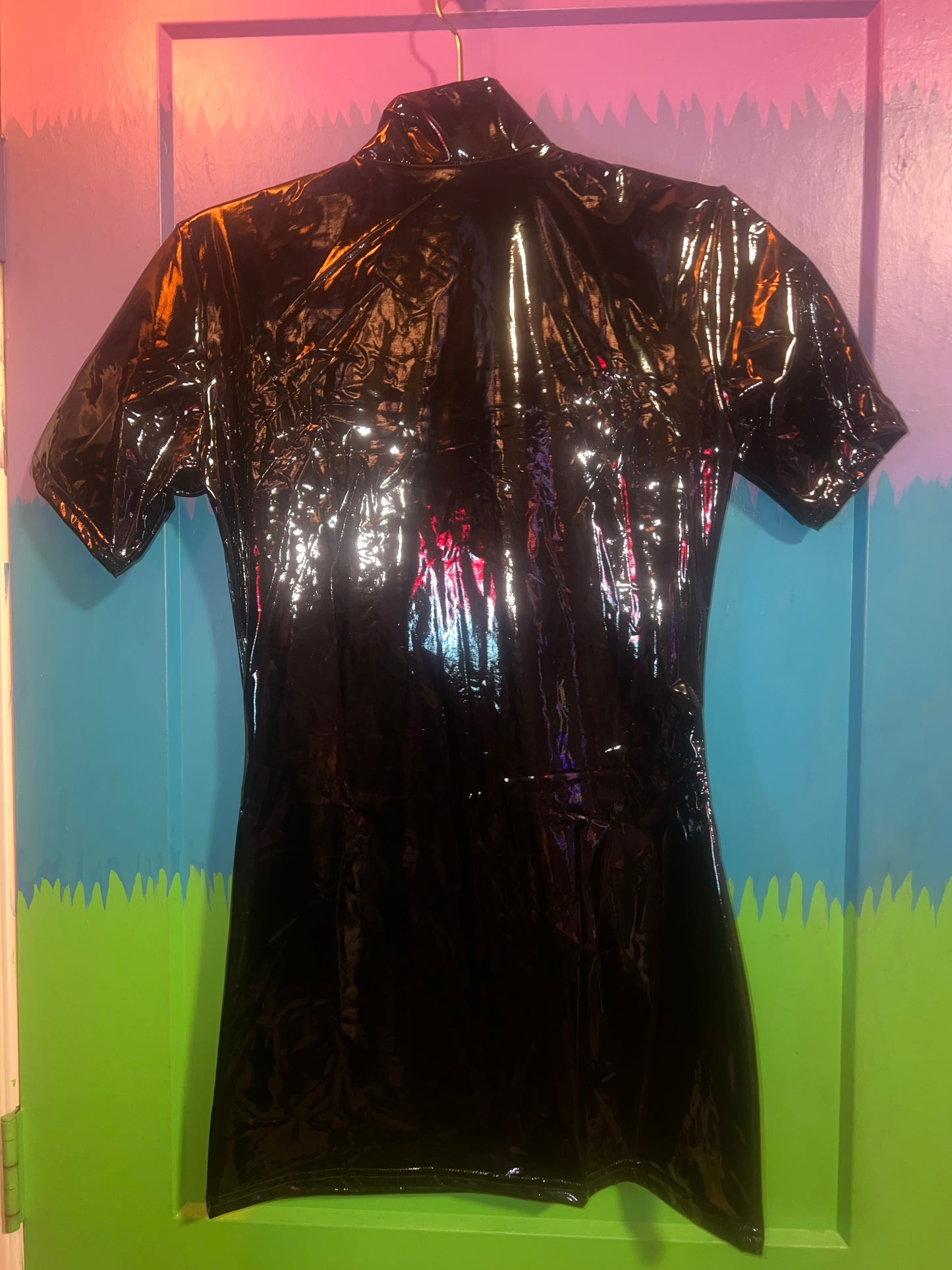 Faux leather dress (small)